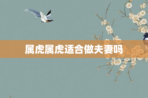 属虎属虎适合做夫妻吗