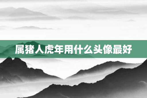 属猪人虎年用什么头像更好