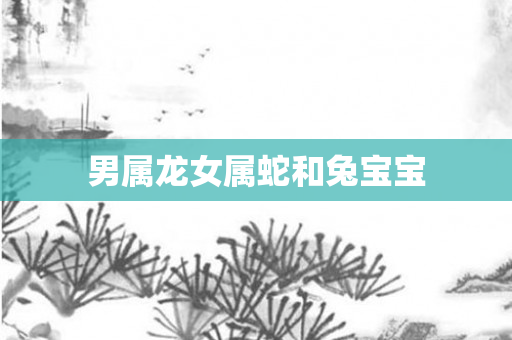 男属龙女属蛇和兔宝宝