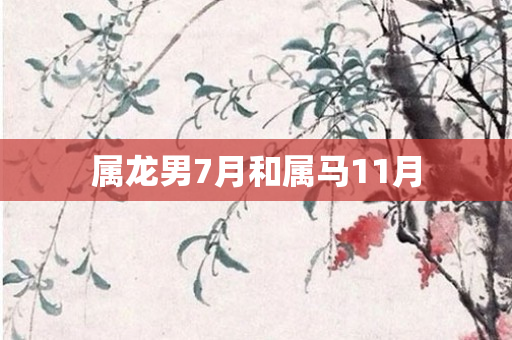 属龙男7月和属马11月