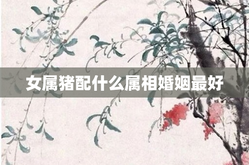 女属猪配什么属相婚姻更好