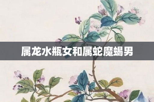 属龙水瓶女和属蛇魔蝎男