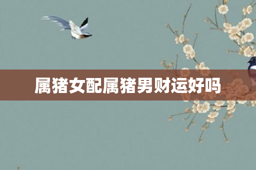 属猪女配属猪男财运好吗