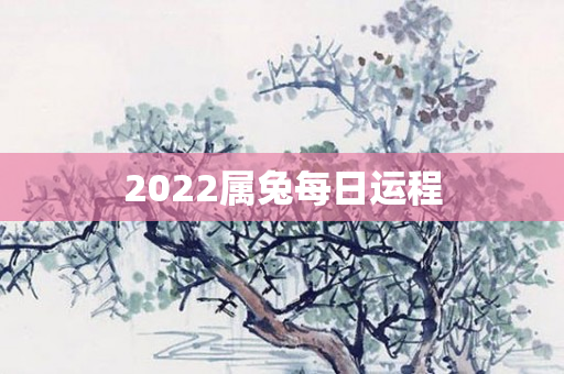 2022属兔每日运程