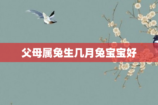 父母属兔生几月兔宝宝好