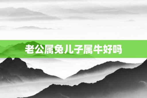 老公属兔儿子属牛好吗