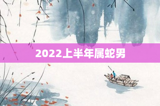 2022上半年属蛇男