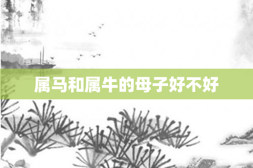 属马和属牛的母子好不好