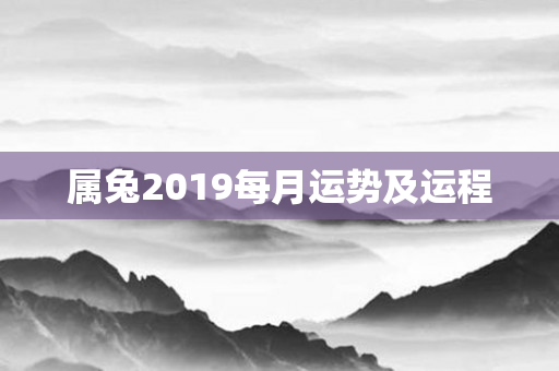 属兔2019每月运势及运程