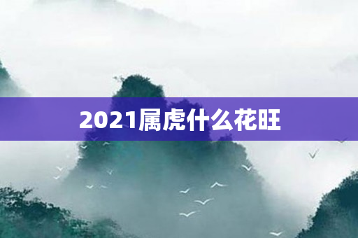 2021属虎什么花旺