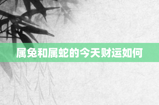 属兔和属蛇的今天财运如何