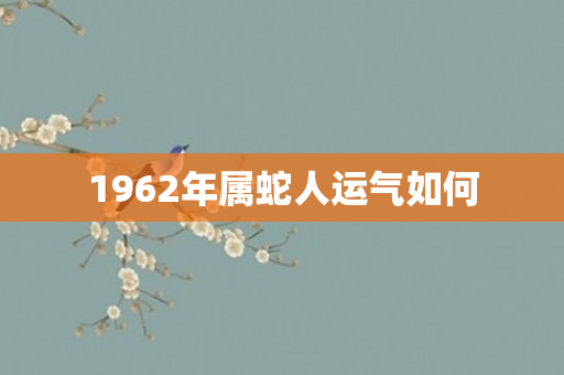 1962年属蛇人运气如何