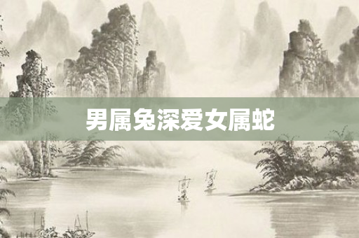 男属兔深爱女属蛇