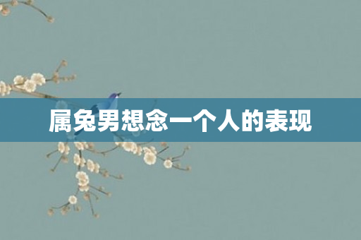 属兔男想念一个人的表现