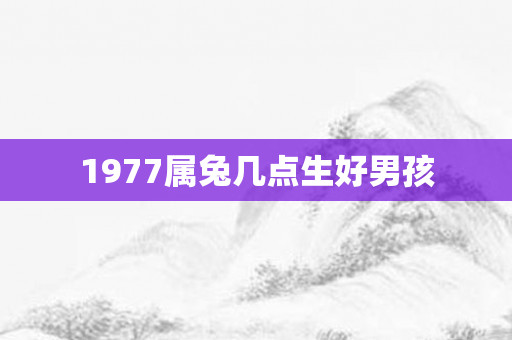 1977属兔几点生好男孩