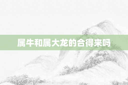 属牛和属大龙的合得来吗