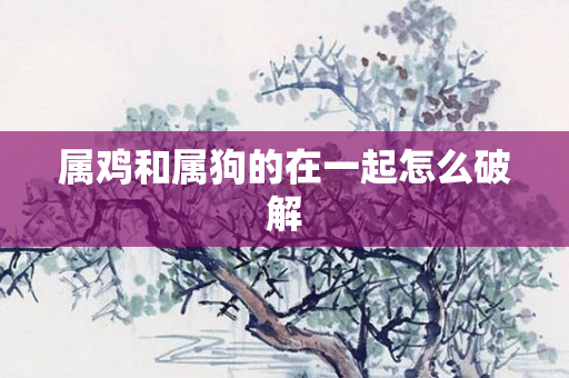 属鸡和属狗的在一起怎么破解