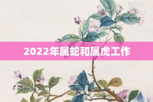 2022年属蛇和属虎工作