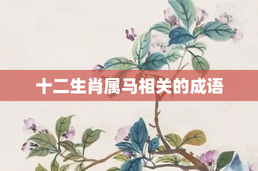 十二生肖属马相关的成语