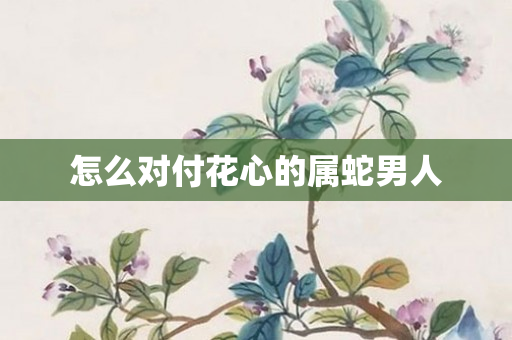 怎么对付花心的属蛇男人
