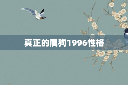 真正的属狗1996性格