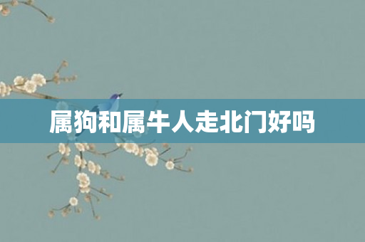 属狗和属牛人走北门好吗