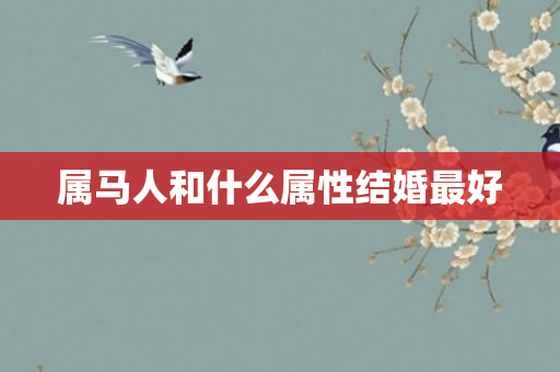属马人和什么属性结婚更好