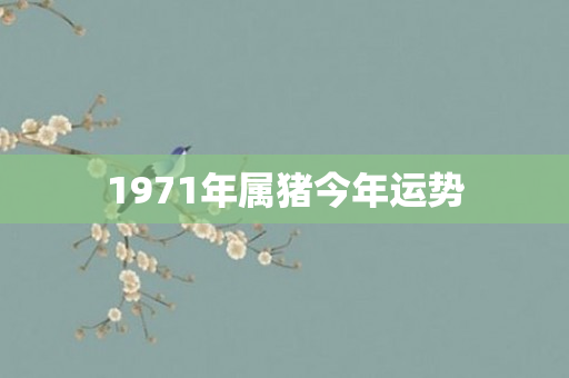 1971年属猪今年运势