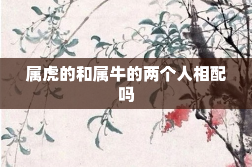 属虎的和属牛的两个人相配吗