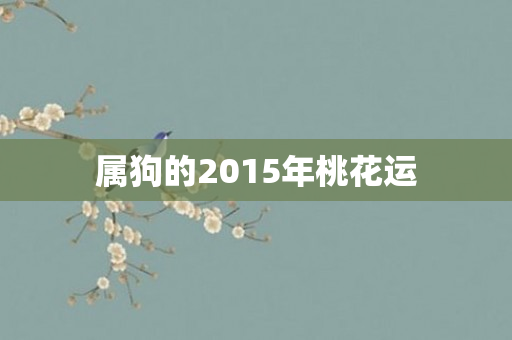属狗的2015年桃花运