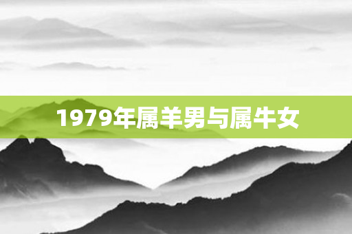 1979年属羊男与属牛女