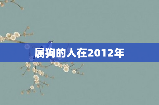 属狗的人在2012年