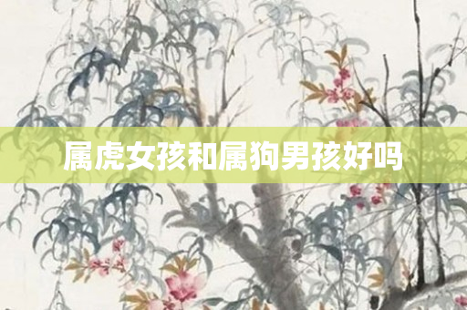 属虎女孩和属狗男孩好吗