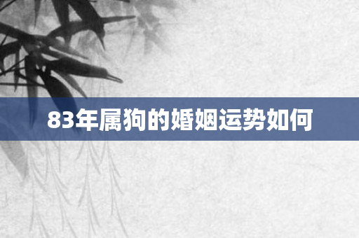 83年属狗的婚姻运势如何