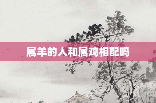 属羊的人和属鸡相配吗