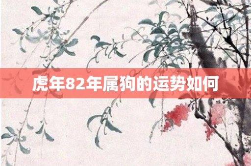 虎年82年属狗的运势如何