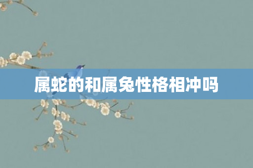 属蛇的和属兔性格相冲吗