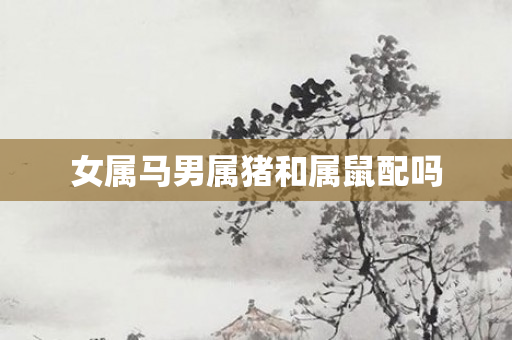 女属马男属猪和属鼠配吗