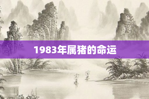 1983年属猪的命运