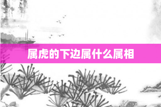 属虎的下边属什么属相