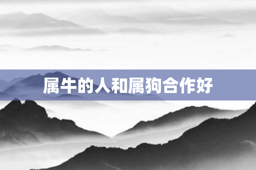 属牛的人和属狗合作好