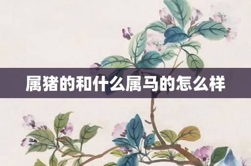 属猪的和什么属马的怎么样