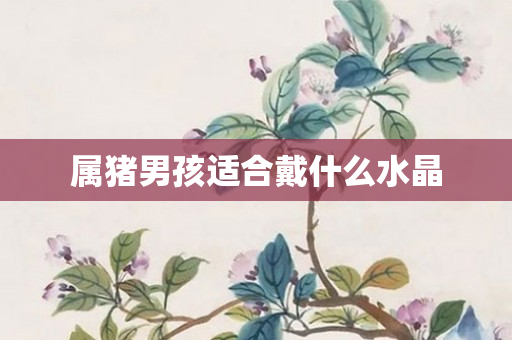 属猪男孩适合戴什么水晶