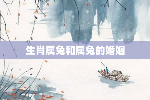 生肖属兔和属兔的婚姻