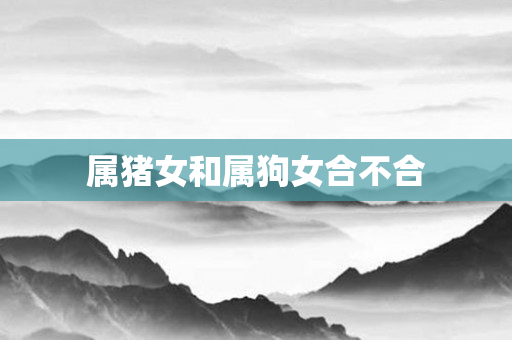 属猪女和属狗女合不合
