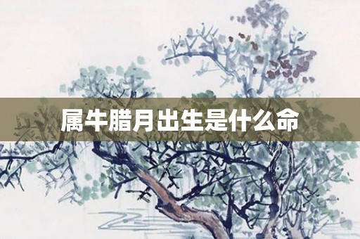 属牛腊月出生是什么命