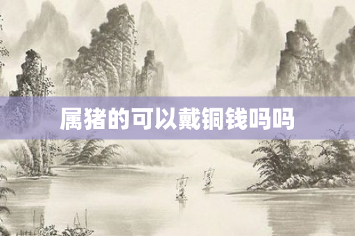 属猪的可以戴铜钱吗吗