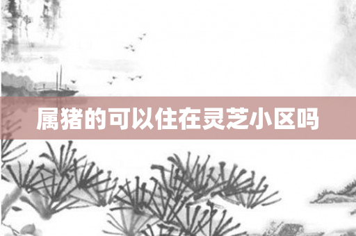 属猪的可以住在灵芝小区吗