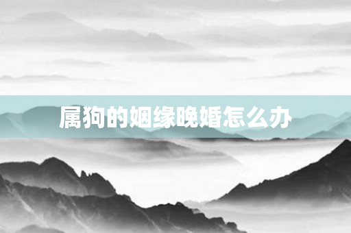 属狗的姻缘晚婚怎么办