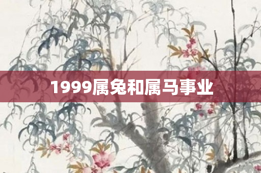 1999属兔和属马事业